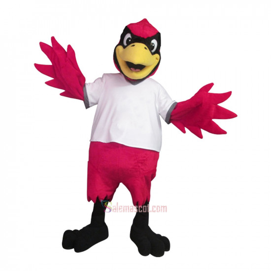 College Archie Mascot Costume
