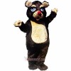 Barnaby Bear Mascot Costume