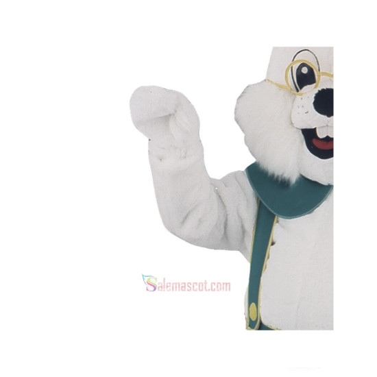 Bavarian Rabbit Mascot Costume