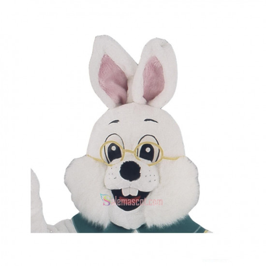 Bavarian Rabbit Mascot Costume