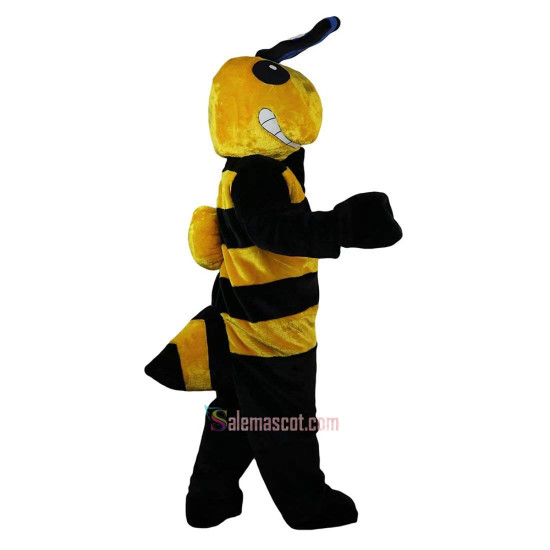 Bee Honeybee Apidae Apis Cartoon Mascot Costume