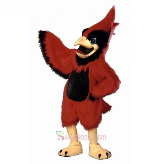 Big Red Cardinal Mascot Costume