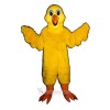 Bird Feathers Mascot Costume