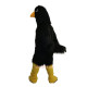 Black Eagle Cartoon Mascot Costume