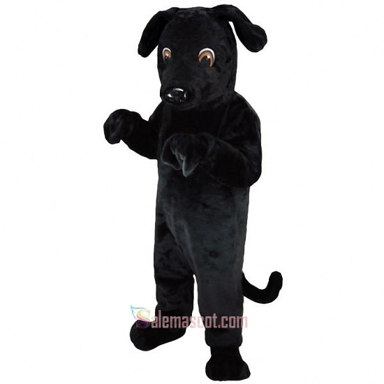 Black Lab Lightweight Mascot Costume