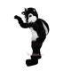 Black Raccoon Cartoon Mascot Costume