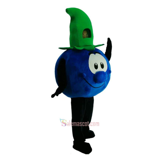 Blueberries, Mr. Cartoon Mascot Costume