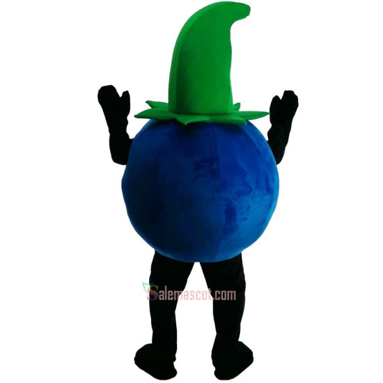 Blueberries, Mr. Cartoon Mascot Costume