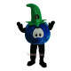 Blueberries, Mr. Cartoon Mascot Costume