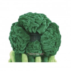 Broccoli Mascot Costume