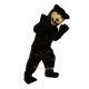 Brown Bear Cartoon Mascot Costume