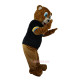 Brown Bear Ursusarctos Mascot Costume