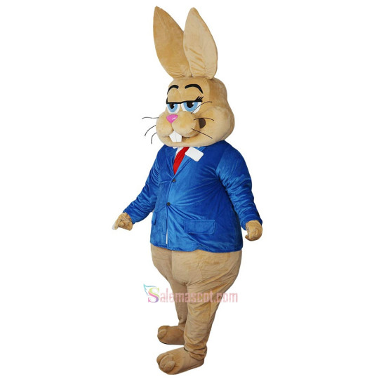 Brown Rabbit Bunny Cartoon Mascot Costume