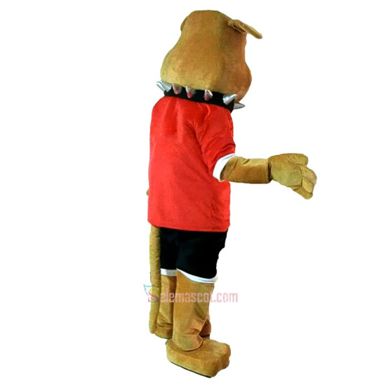 Bulldog Mascot Cartoon Mascot Costume