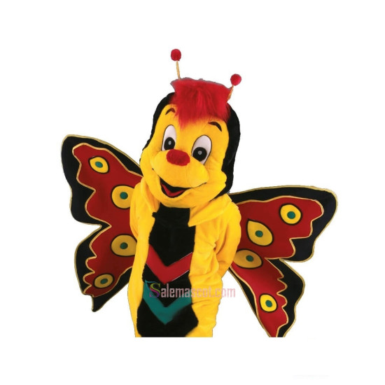 Cute Happy Butterfly Mascot Costume