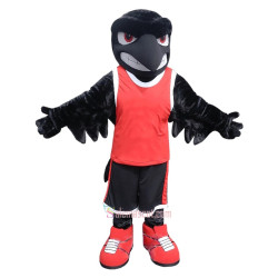 Carelton Uni Raven Mascot Costume