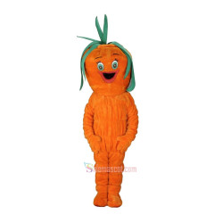 Lovely Carrot Mascot Costume