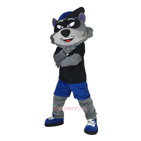 Cartoon Raccoon Mascot Costume