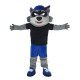 Cartoon Raccoon Mascot Costume