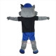 Cartoon Raccoon Mascot Costume