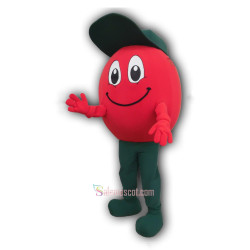 Charming Tomato Mascot Costume