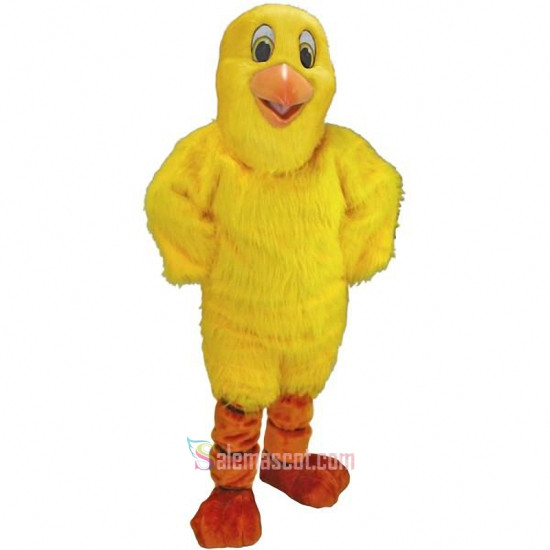Chick Mascot Costume