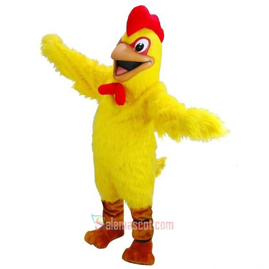 Chicken Mascot Costume
