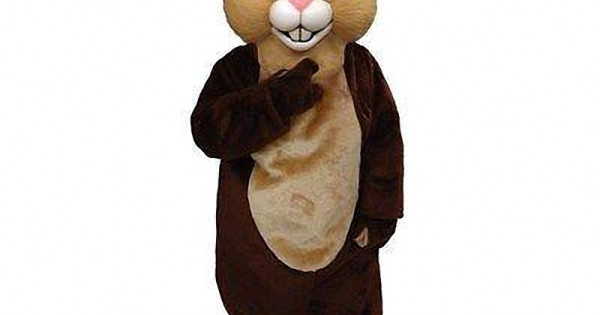 Chocolate Rabbit Mascot Costume