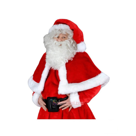 Christmas Mascot Costume Professional