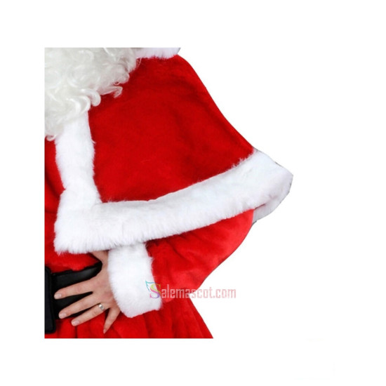 Christmas Mascot Costume Professional