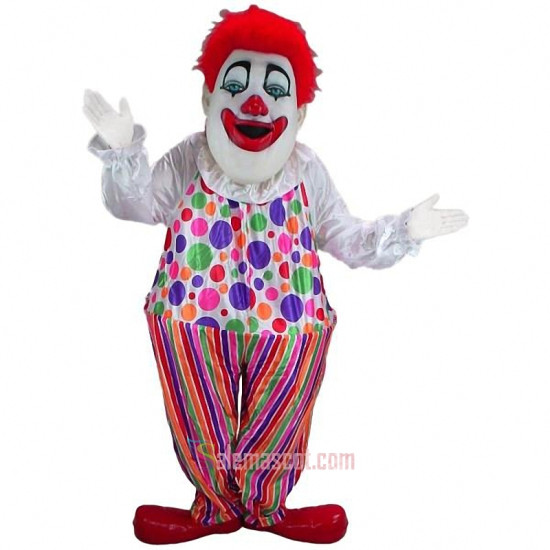 Clown Mascot Costume