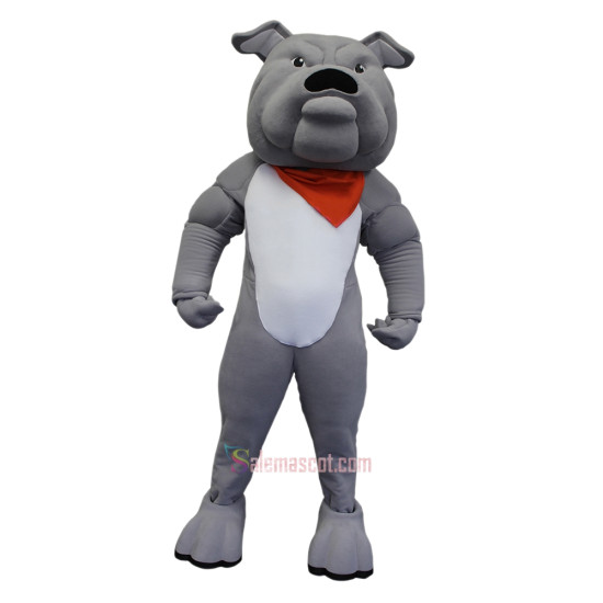 College Bulldog Mascot Costume