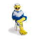 College Handsome Eagle Mascot Costume