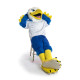 College Handsome Eagle Mascot Costume