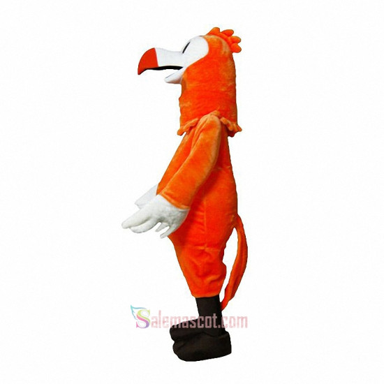 Dodo Bird Mascot Costume