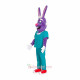 Dr Rabbit Mascot Costume
