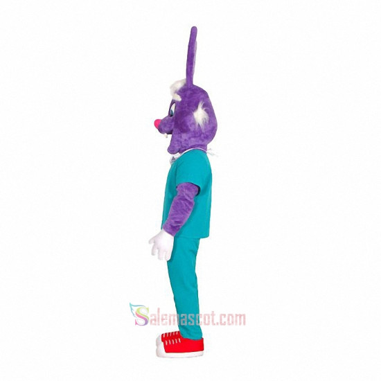 Dr Rabbit Mascot Costume
