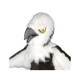 Long Plush Eagle Mascot Costume
