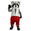 Friendly Raccoon Mascot Costume