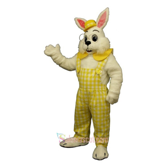 Eggbert Mascot Costume