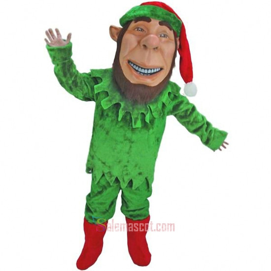 Elf Mascot Costume