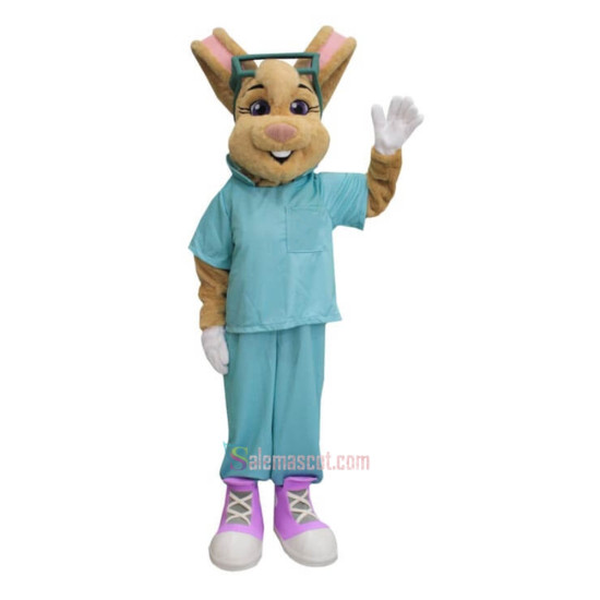 Fair Dr Rabbit Mascot Costume