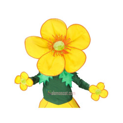 Cute Flowers Mascot Costume