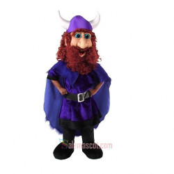 Friendly Viking Mascot Costume
