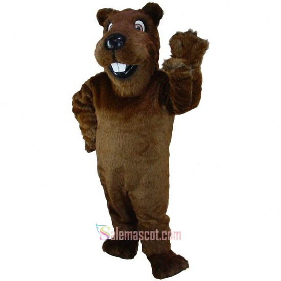 Gopher or Groundhog Mascot Costume