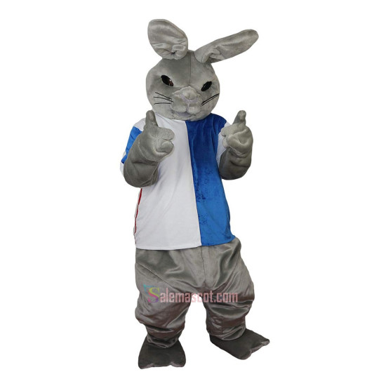 Gray Rabbit Cartoon Mascot Costume
