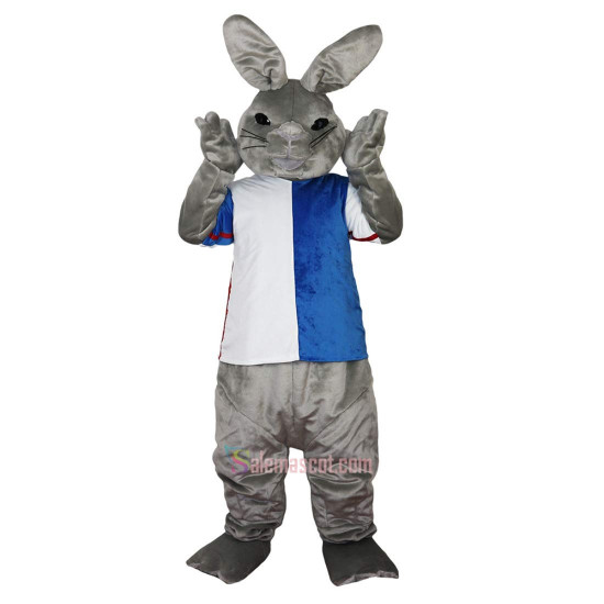 Gray Rabbit Cartoon Mascot Costume