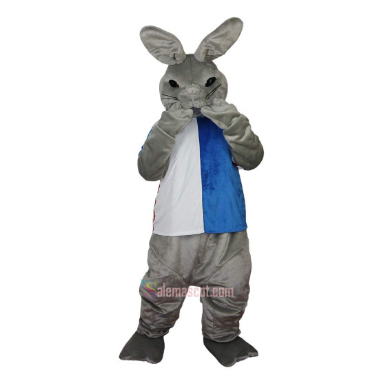 Gray Rabbit Cartoon Mascot Costume