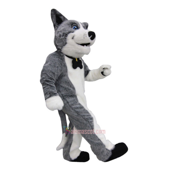 Handsome Rufus Dog Mascot Costume