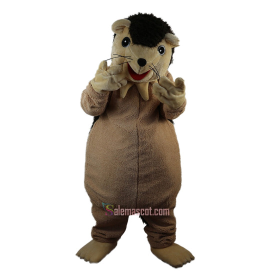 Hedgehog Porcupine Mascot Costume